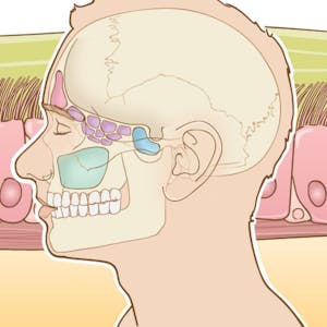 Acute and Chronic Rhinosinusitis: A Comprehensive Review from Coursera | Course by Edvicer