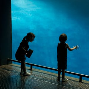 Learning, Knowledge, and Human Development