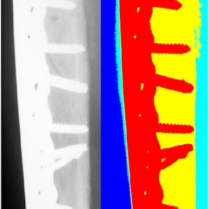 Low Code Image Segmentation - Online CE Course