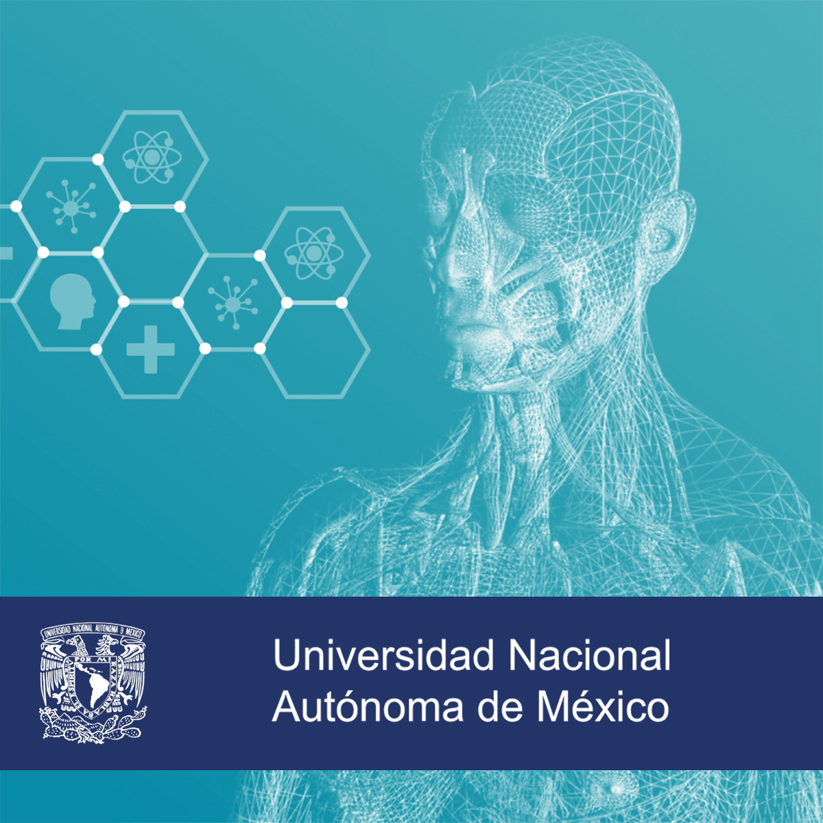 Salud desde las ciencias de la complejidad