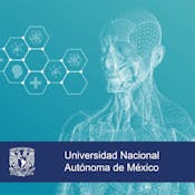 Salud desde las ciencias de la complejidad