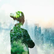 Dispelling myths about sustainable consumption