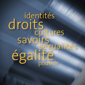 Genre quels enjeux ? Violences, globalisation, biomédecine, sexualités.