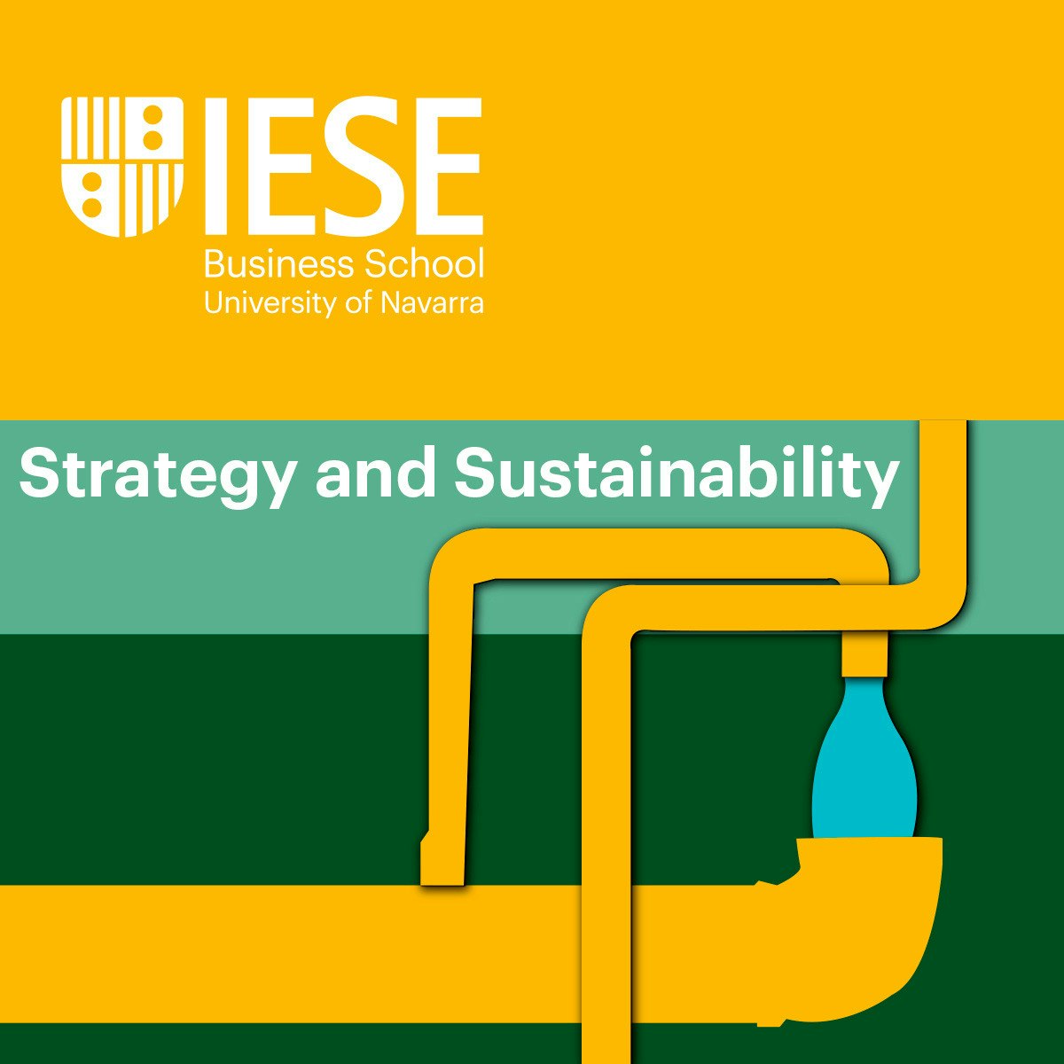 Strategy and Sustainability