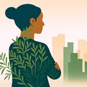 Dispelling myths about sustainable consumption