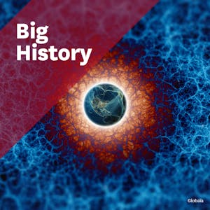 Big History Connecting Knowledge