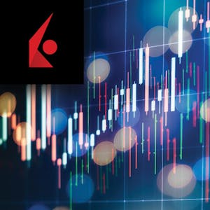 Fundamentals of Equities