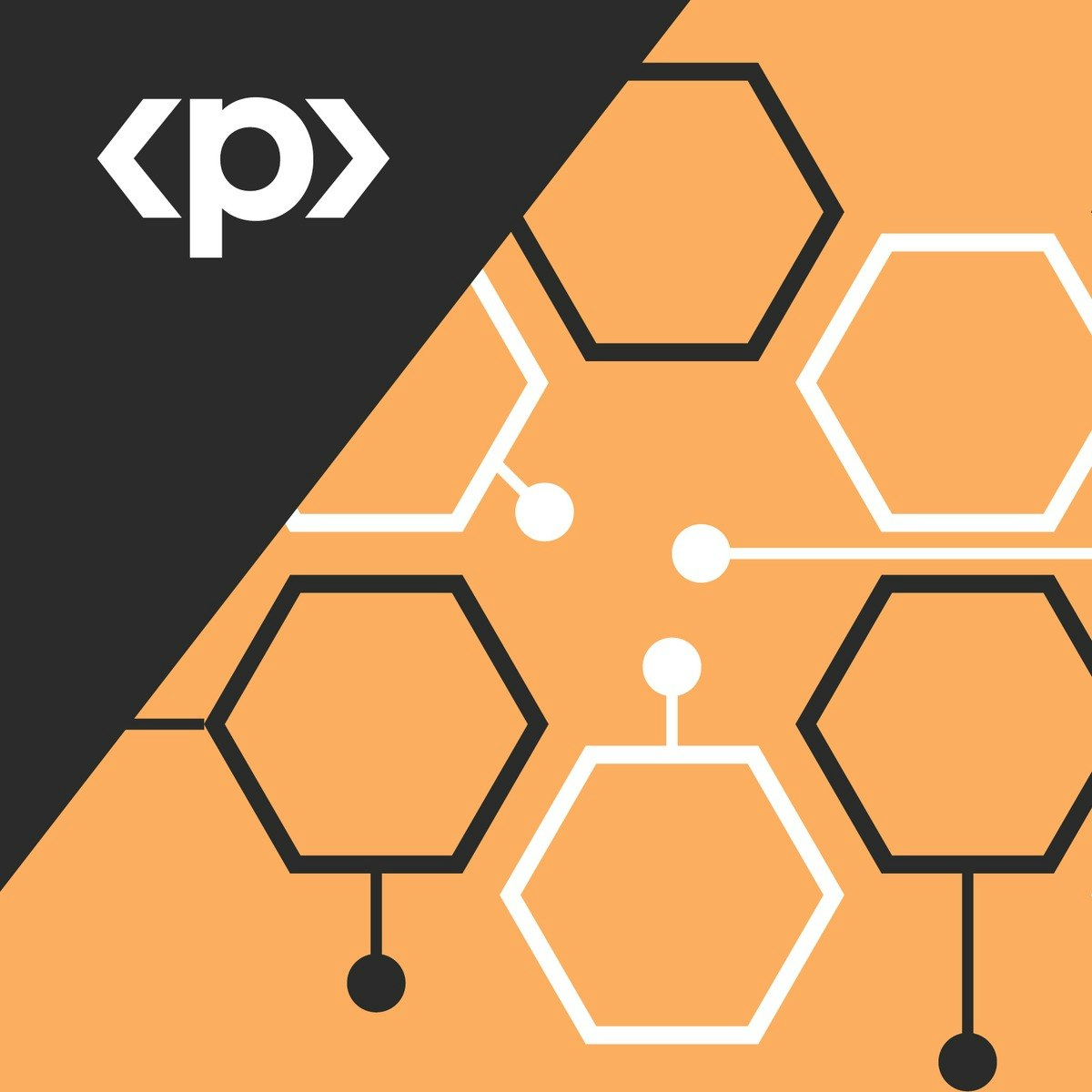 Python Data Model