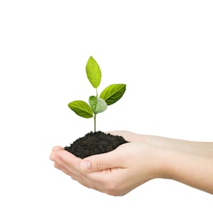 Grow to Greatness Smart Growth for Private Businesses, Part I