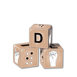 Disability Inclusion in Education Building Systems of Support