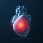 Heart Physiology