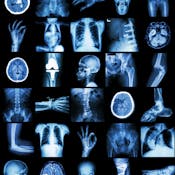 Общие вопросы патологии и патологической анатомии (General Issues of Pathology and Pathologic Anatomy)
