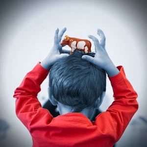 Troubles du spectre de l'autisme biologie et neurosciences