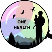 One Health Investigations of Outbreaks and Spillover Events