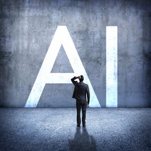 Artificial Intelligence Data Fairness and Bias
