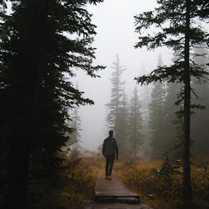 Color Grading: How to Match Shots in DaVinci Resolve from Skillshare online course platform