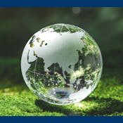 Planetary Health for Nurses