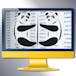 NumPy and Pandas Basics for Future Data Scientists