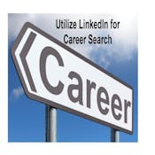 Utilize LinkedIn for Career Search