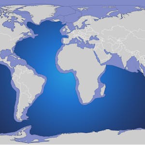 Large Marine Ecosystems Assessment and Management