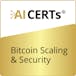 Bitcoin Scaling & Security
