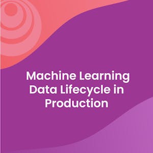 Machine Learning Data Lifecycle in Production