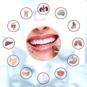 The Oral Cavity: Portal to Health and Disease