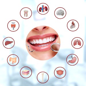 The Oral Cavity: Portal to Health and Disease from Coursera | Course by Edvicer