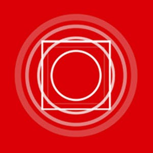 Liderazgo para el Siglo XXI: proyecto final - Online CE Course