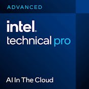 Intel® Solutions Pro – AI in the Cloud
