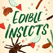 Edible Insects