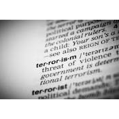 恐怖主义和反恐：理论与实践的比较