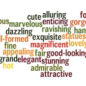 Adjectives and Adjective Clauses