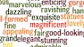 Adjectives and Adjective Clauses