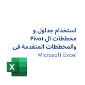 Excel  والمخططات المتقدمة فى Pivotاستخدام جداول و مخططات ال 