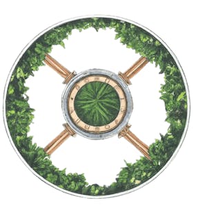 Exploring the Origins of Selfhood from University of Colorado System online course platform