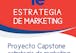 Proyecto capstone estrategia de marketing