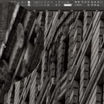 Master Adobe InDesign | Coursera