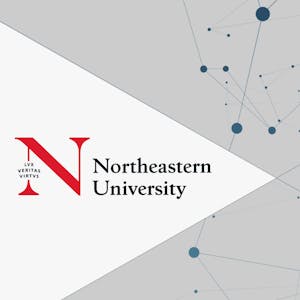 Practical AI for Professionals from Northeastern University online course platform