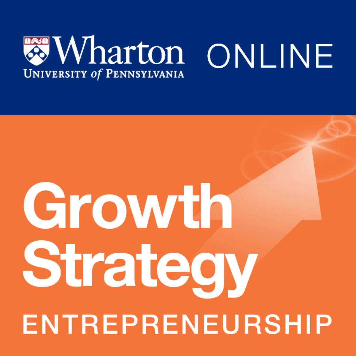 Entrepreneurship and Startup Strategy