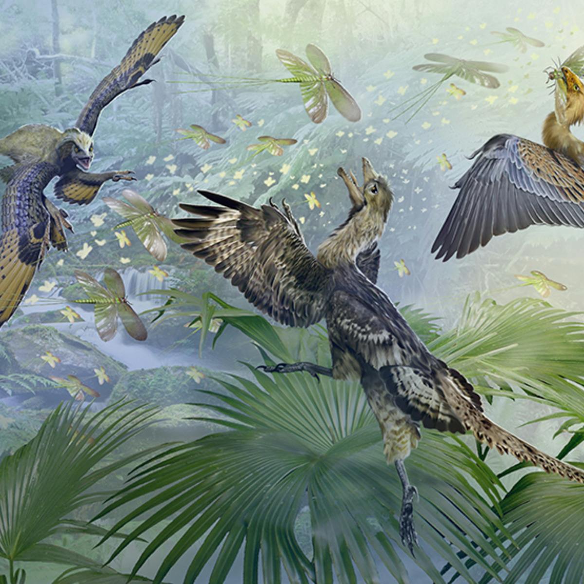 Paleontology: Theropod Dinosaurs and the Origin of Birds | Coursera