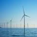 Wind Power Generation