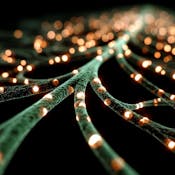 Decision-Making in Dynamic Environments