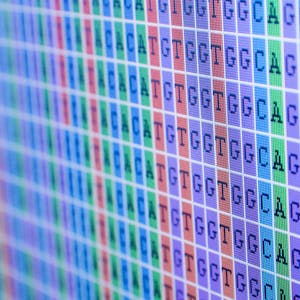 Bioinformatic Methods I