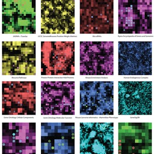 Big Data Science with the BD2K-LINCS Data Coordination and Integration Center from Icahn School of Medicine at Mount Sinai online course platform