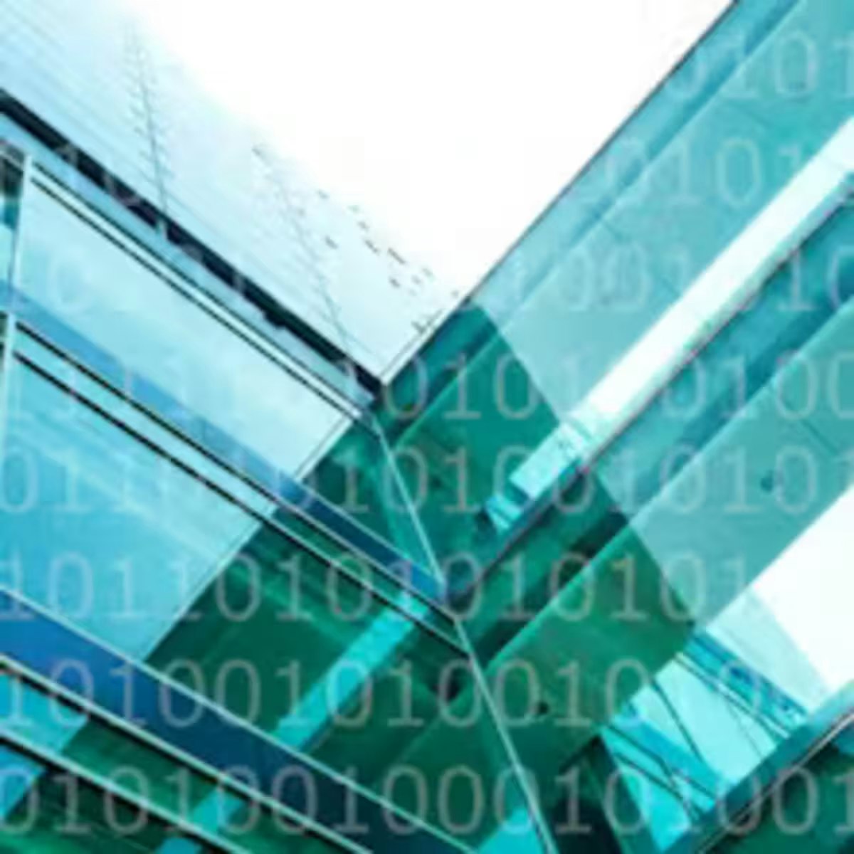 Fundamentos TIC para negocios: Ciberseguridad