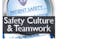 Préparer le terrain pour la réussite : Un regard sur la culture de la sécurité et le travail d'équipe (Sécurité des patients II)