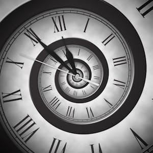 Circadian clocks how rhythms structure life