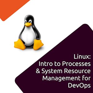 Linux: Processes & System Resource Management for DevOps - Online CE Course