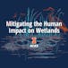 Mitigating the Human Impact on Wetlands